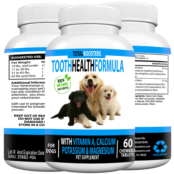 Tooth Health For Pets